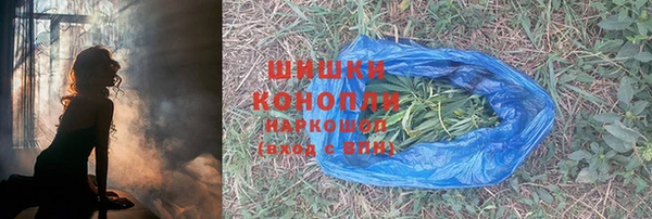 винт Аркадак