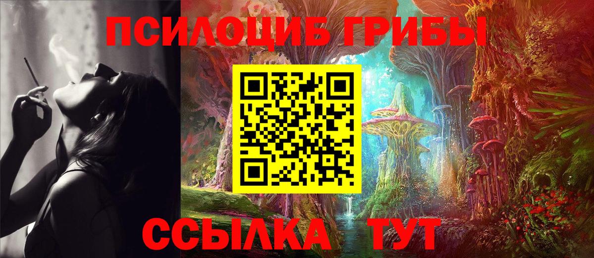 Псилоцибиновые грибы Magic Shrooms Курган