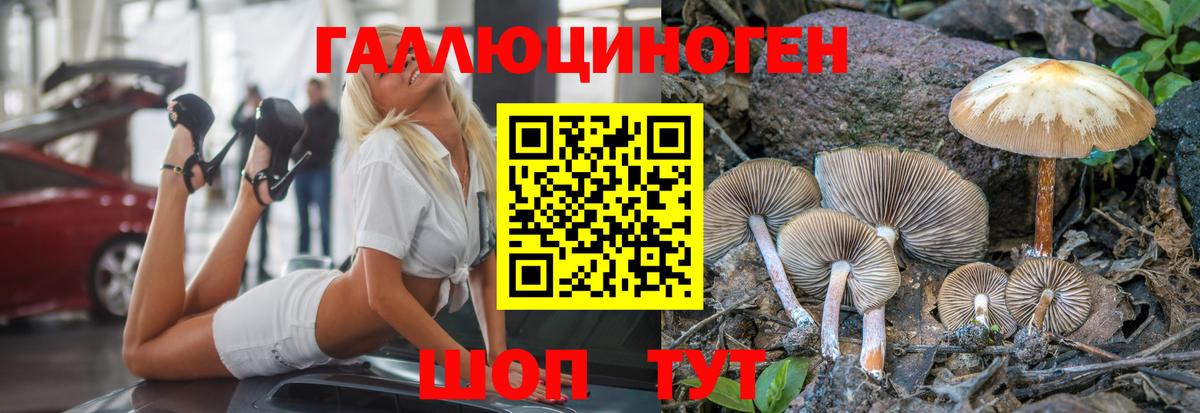 Псилоцибиновые грибы GOLDEN TEACHER  Вход с VPN  Курган  Галлюциногенные грибы Magic Shrooms 
